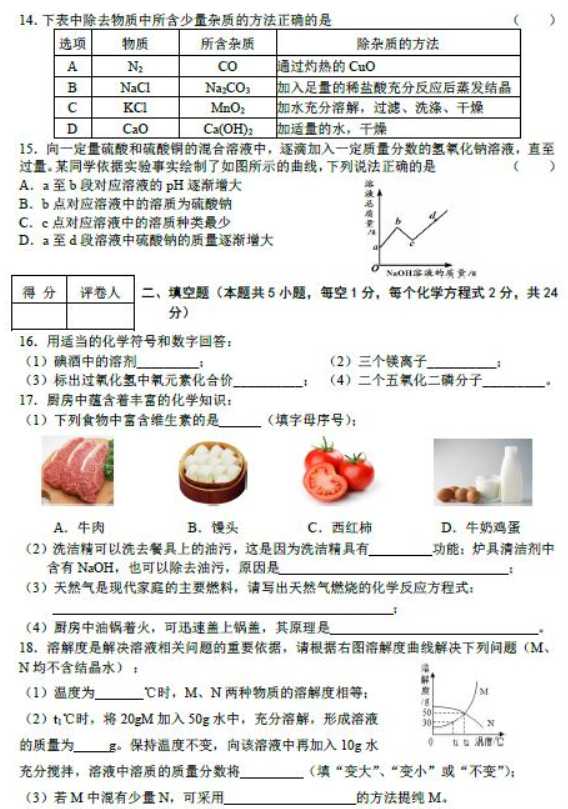 2023年萍乡中考化学冲刺试卷及答案