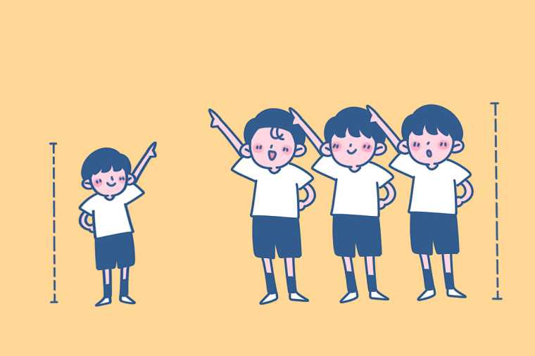 西南政法大学2+2本科项目招生计划